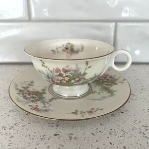 Vintage Theodore HAVILAND New York Apple Blossom Footed Tea Cup & Saucer Set
